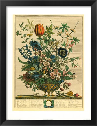 Framed February/Twelve Months of Flowers, 1730 Print