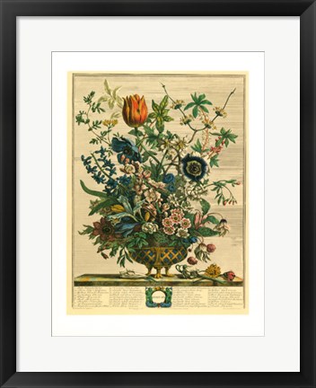 Framed February/Twelve Months of Flowers, 1730 Print