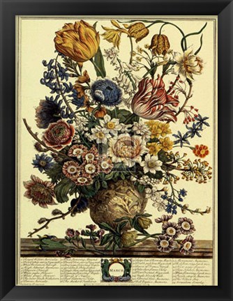 Framed March/Twelve Months of Flowers, 1730 Print