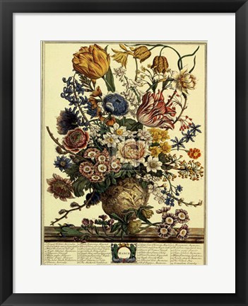 Framed March/Twelve Months of Flowers, 1730 Print