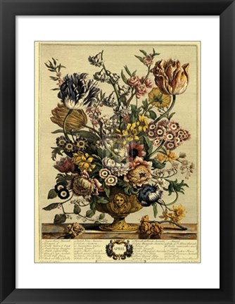 Framed April/Twelve Months of Flowers, 1730 Print