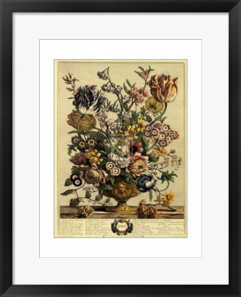 Framed April/Twelve Months of Flowers, 1730 Print