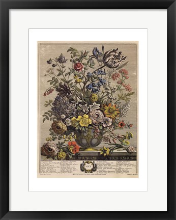 Framed May/Twelve Months of Flowers, 1730 Print