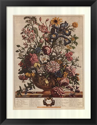 Framed June/Twelve Months of Flowers, 1732 Print