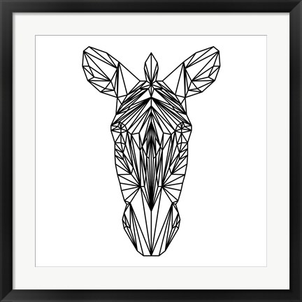 Framed Zebra on White Print