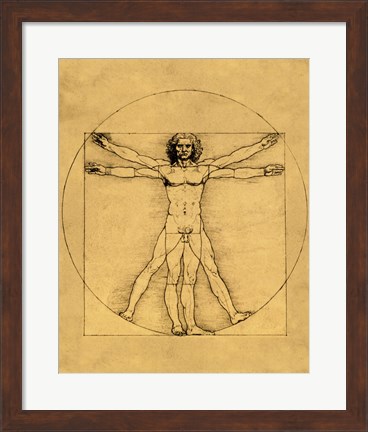 Framed Proportions of the Human Figure - Vitruvian Man Print