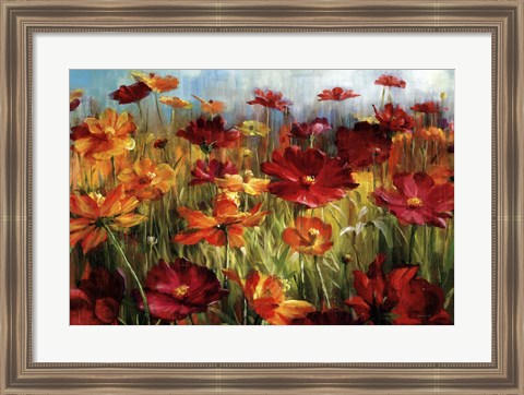 Framed Cosmos In The Field Print