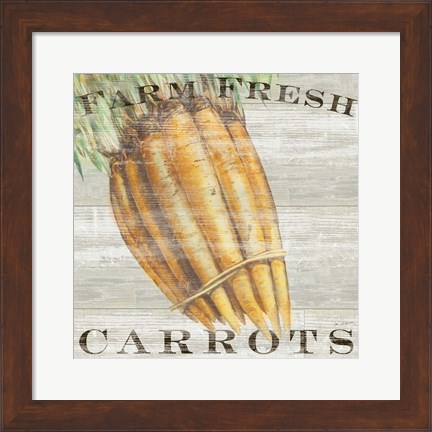 Framed Farm Fresh Carrots Print