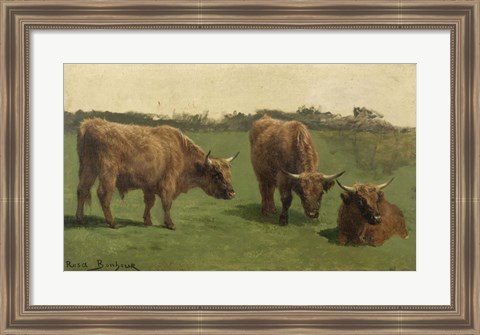 Framed Three Studies of Reddish-Haired Cows on a Meadow Print
