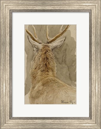 Framed Study of a Deer Print