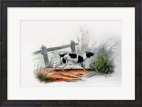 Framed Dog II Print