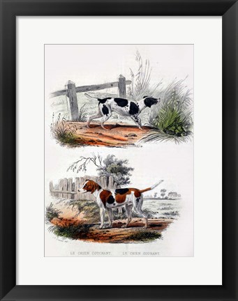 Framed Pair of Dogs I Print