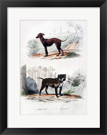 Framed Pair of Dogs II Print