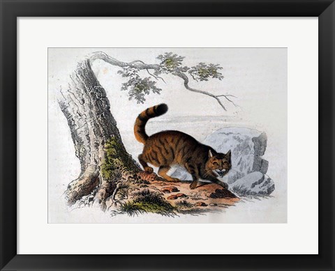 Framed Wild Cat Print