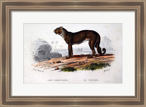 Framed Leopard I Print