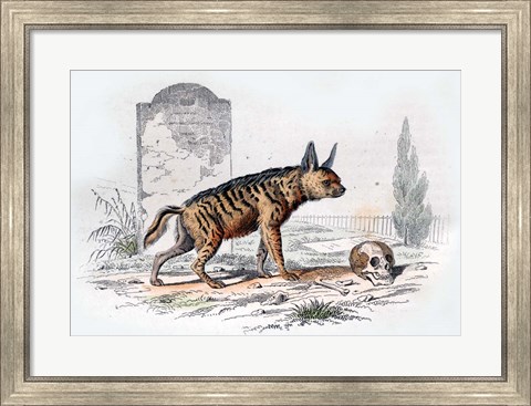 Framed Hyena I Print