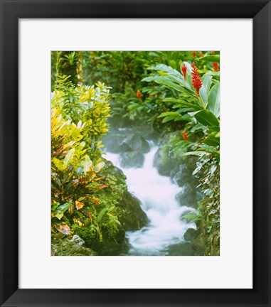 Framed Waterfall, Tabacon, Costa Rica Print