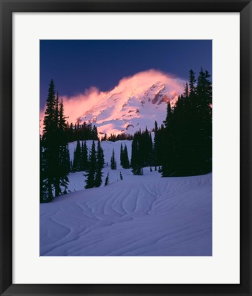 Framed Mt Rainier National Park, Washington State Print