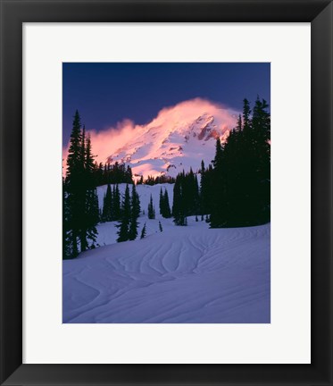 Framed Mt Rainier National Park, Washington State Print