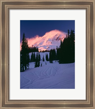 Framed Mt Rainier National Park, Washington State Print