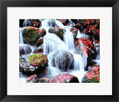 Framed Waterfalls, Kyoto, Japan Print