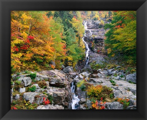 Framed White Mountains National Forest Print