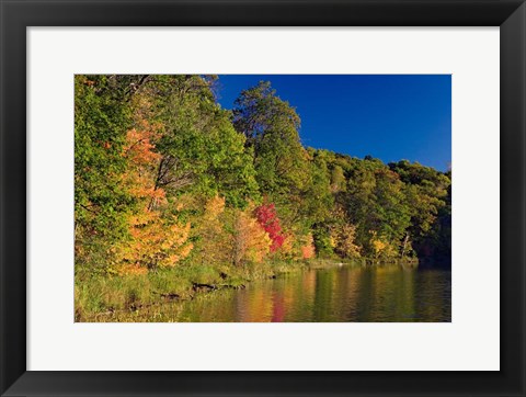 Framed Pillsbury State Forest, Minnesota Print