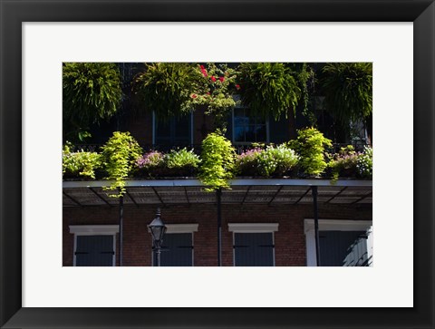 Framed French Quarter, New Orleans, Louisiana Print