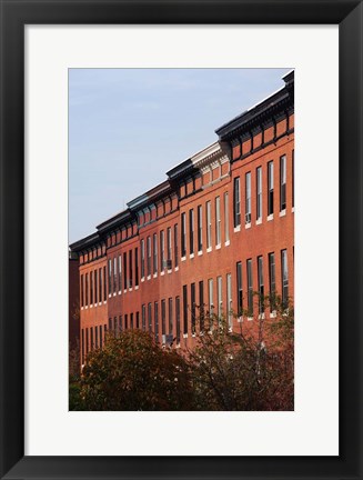 Framed Row Houses in the City, Bolton Hill, Baltimore, Maryland Print