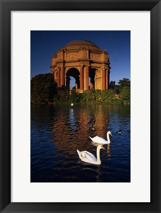 Framed Swans and Palace of Fine Arts Print