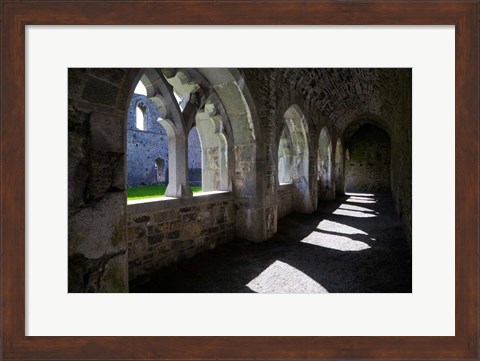 Framed Cloisters in Killmallock 12th Century Dominican Friary, Co Limerick, Ireland Print