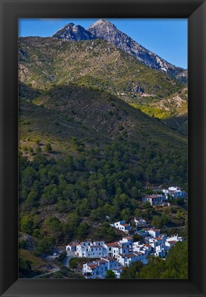 Framed El Acebuchal, Malaga, Spain Print