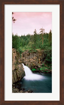 Framed Forest Waterfall, Shasta, California Print