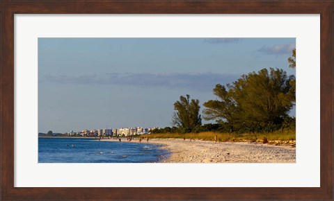 Framed Beach, Naples, Collier County, Florida Print