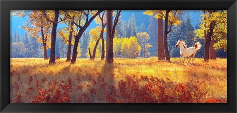 Framed Yosemite Park, California Print