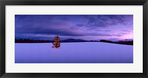 Framed Christmas Tree in the Snow, New London, New Hampshire Print