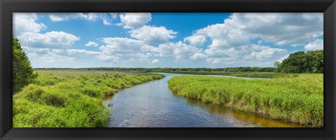 Framed Myakka River State Park, Sarasota, Florida Print