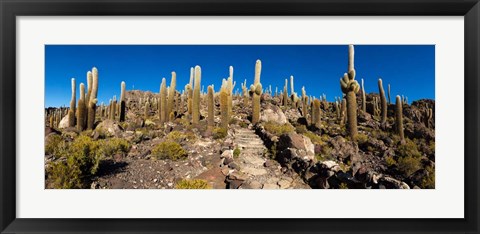 Framed View of the Isla del Pescado, Potosi Department, Bolivia Print