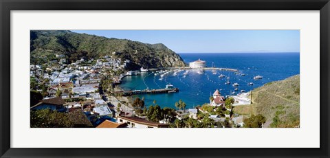 Framed Santa Catalina Island, CA Print