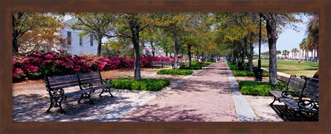Framed Waterfront Park in Charleston, SC Print