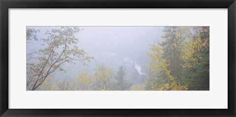 Framed Brule River, Judge C.R. Magney State Park, Minnesota Print