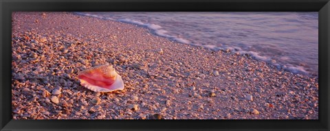 Framed Lovers Key State Park, Fort Myers Beach, Florida Print