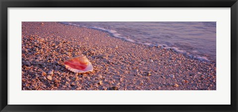 Framed Lovers Key State Park, Fort Myers Beach, Florida Print