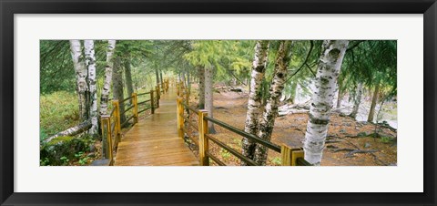 Framed Gooseberry River, Gooseberry Falls State Park, Minnesota Print