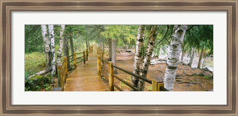 Framed Gooseberry River, Gooseberry Falls State Park, Minnesota Print