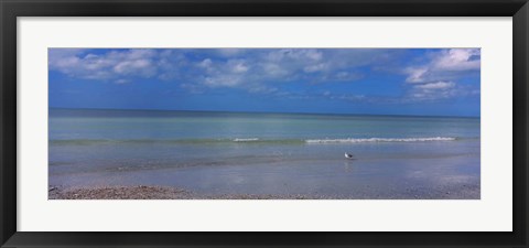 Framed Crescent Beach, Gulf Of Mexico, Florida Print