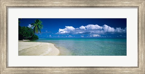 Framed Palm Tree in the French Polynesia Print