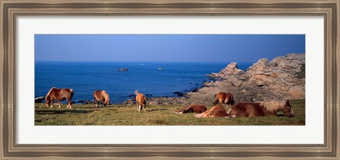 Framed Celtic Horses, Finistere, Brittany, France Print