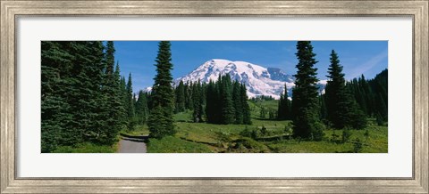 Framed Mt. Rainier National Park, Washington State Print