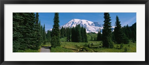 Framed Mt. Rainier National Park, Washington State Print